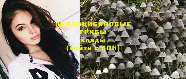 МДМА Алексеевка