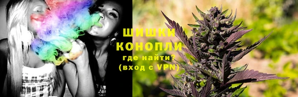 соль ск Алзамай