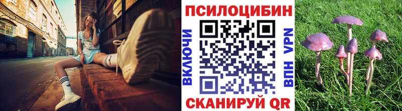 гидра зеркало  Белореченск  Псилоцибиновые грибы прущие грибы  купить наркотик 